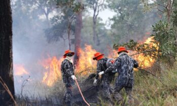 Sob coordenação dos bombeiros de MS, Força Nacional já atua no combate ao fogo no Pantanal